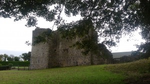 Crevinish Castle 2